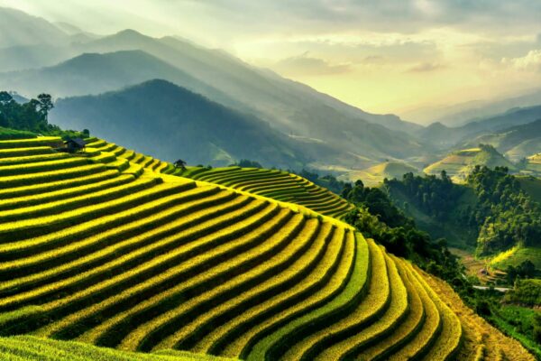 Plateau_1